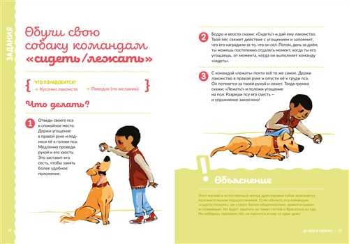 птицы