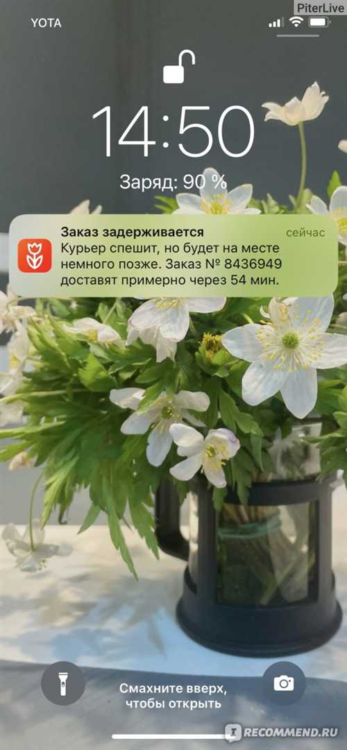 свяжитесь с поддержкой