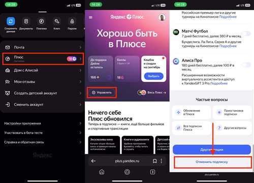 обзор всех сервисов и услуг, включенных в подписку