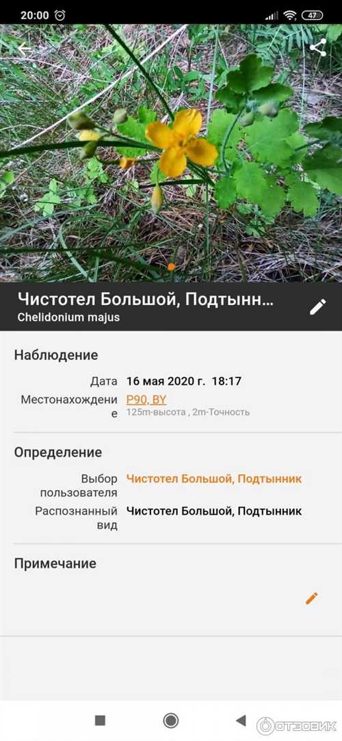 функции и возможности современных приложений с цветами