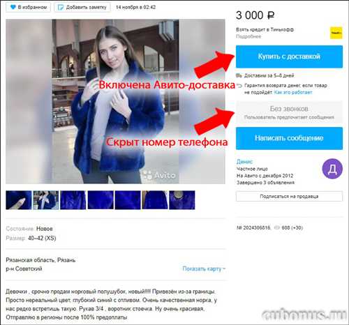 как распознать мошеннические сообщения на авито