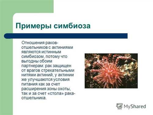 взаимодействие с клиентами
