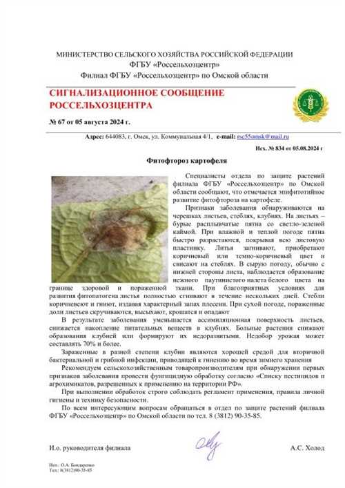 чего избегать в сообщении о болезни